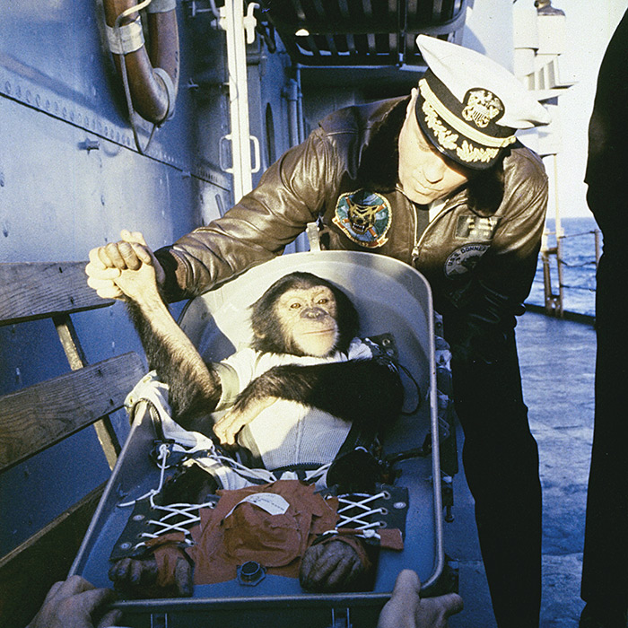 ham the chimp 2