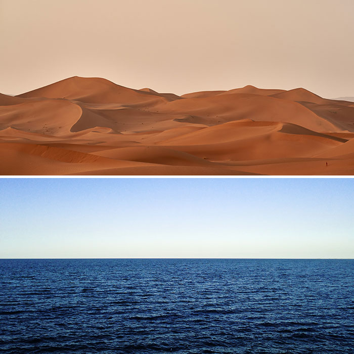desert vs ocean survival