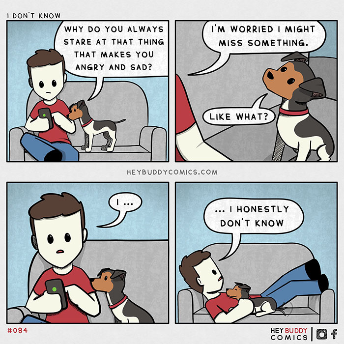 funny memes and funny pictures