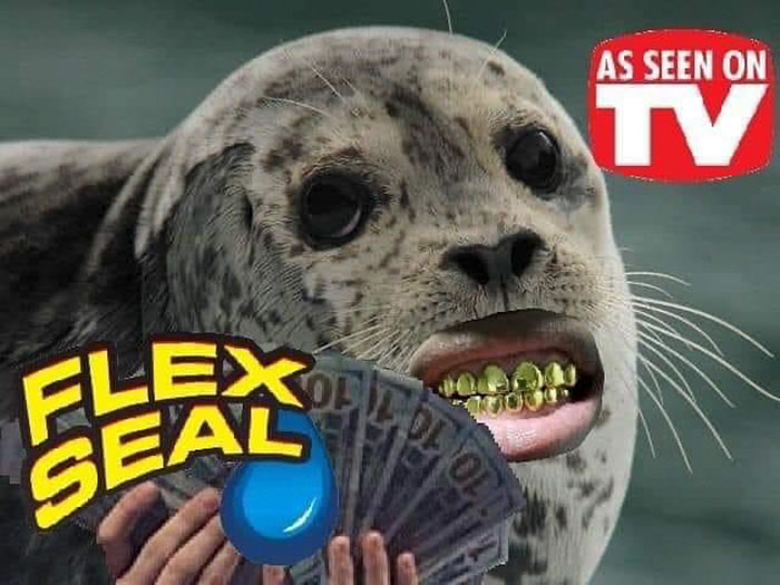 funny memes and funny pictures