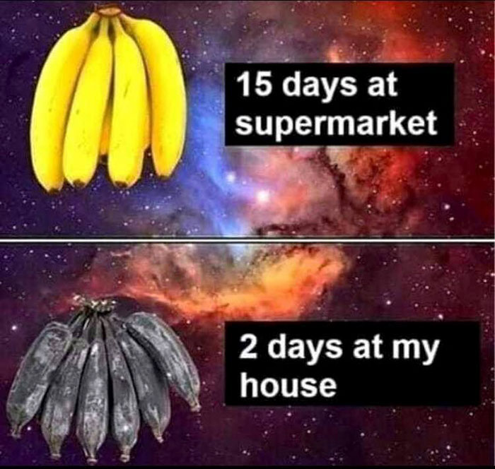 funny memes and funny pictures