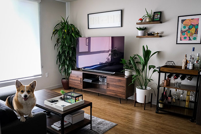 living spaces