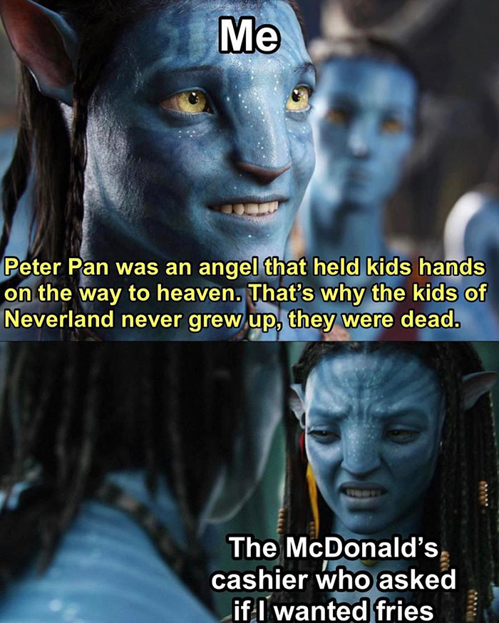 funny memes and funny pictures