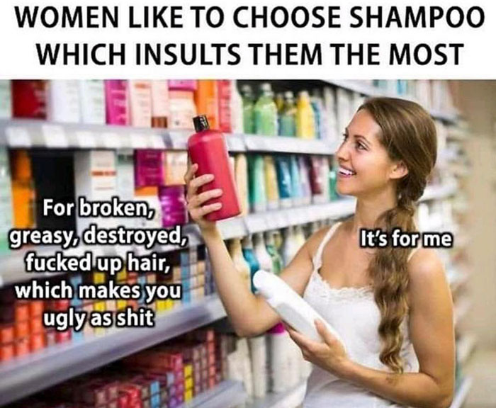 funny memes and funny pictures