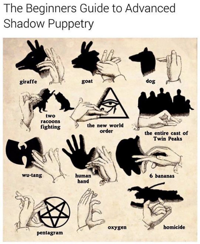 funny memes and funny pictures