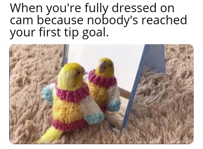 cam girl memes
