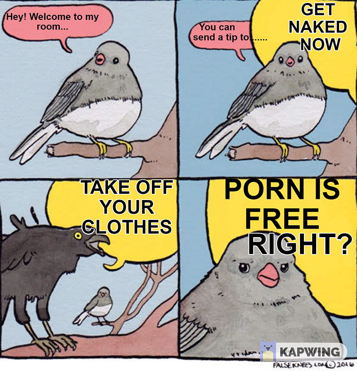 cam girl memes