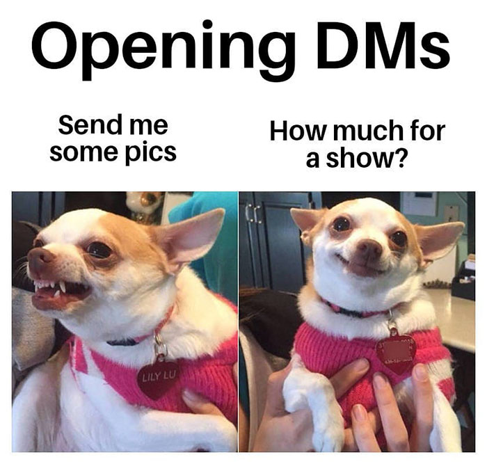 cam girl memes