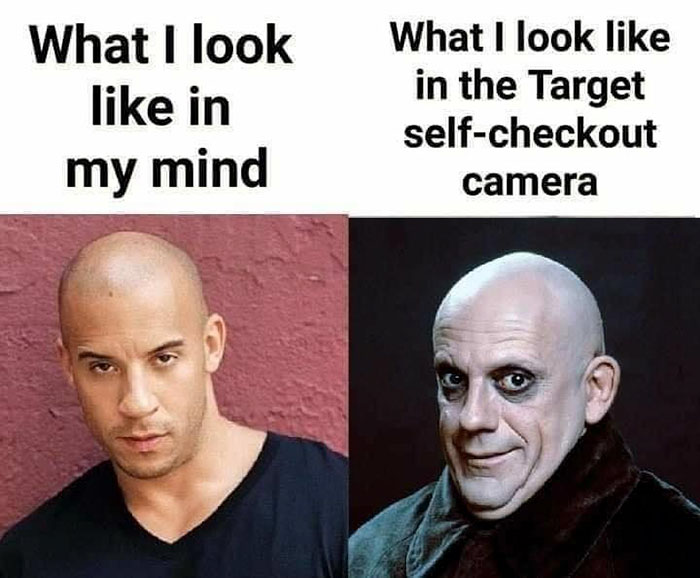 funny memes and funny pictures