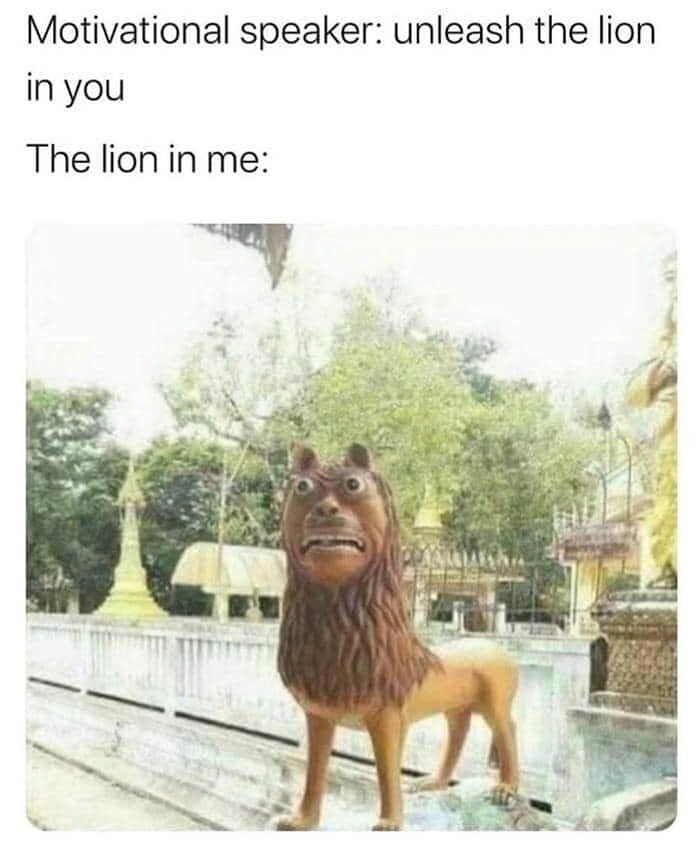 funny memes and funny pictures
