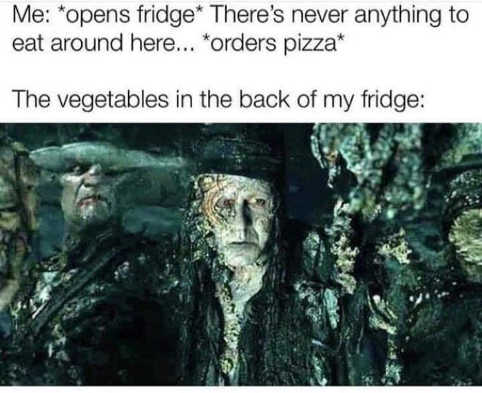funny memes and funny pictures