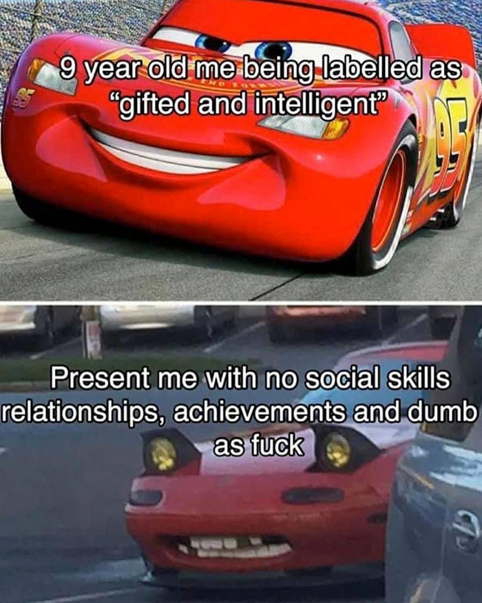 funny memes and funny pictures