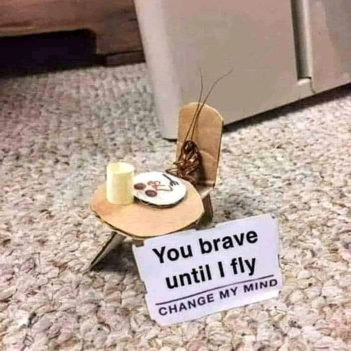 funny memes and funny pictures
