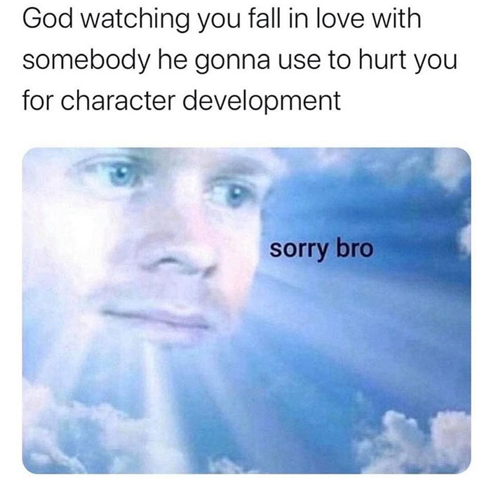 funny memes and funny pictures