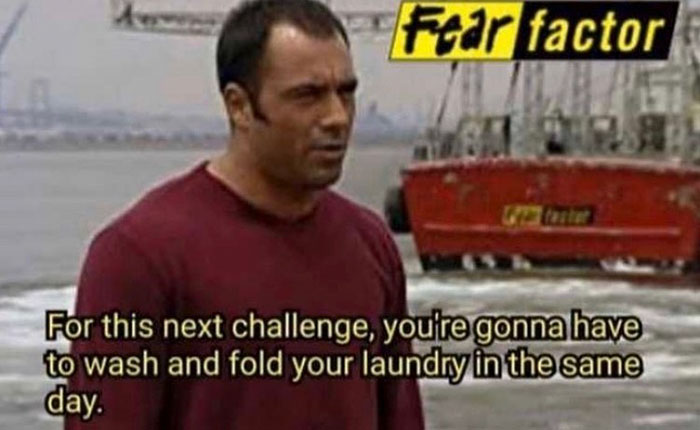 funny memes and funny pictures