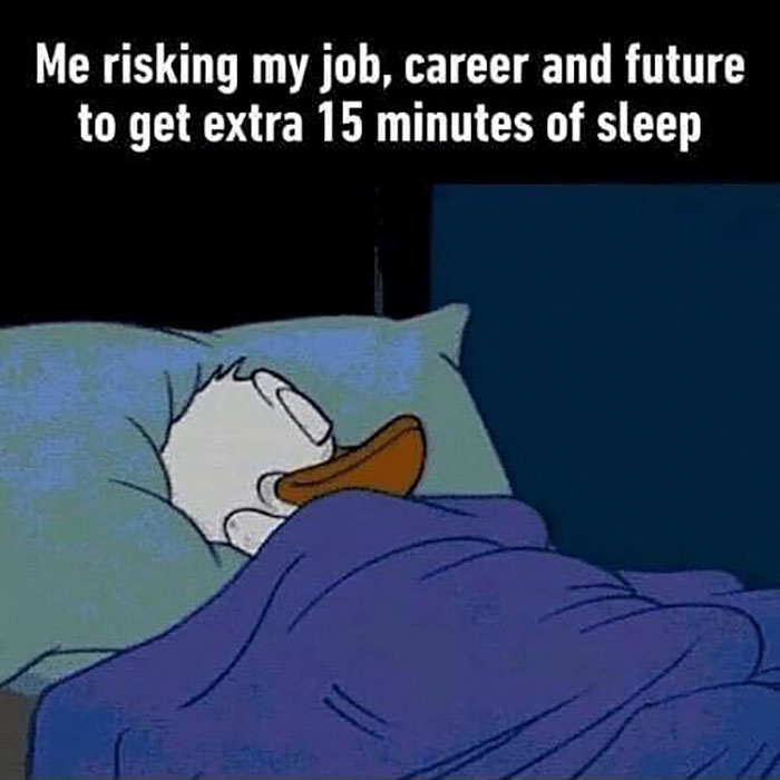 funny memes and funny pictures