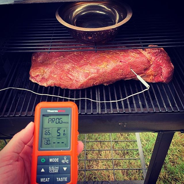 probe thermometer