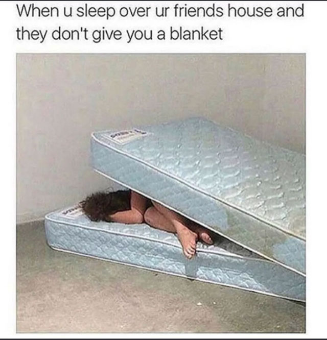 funny memes and funny pictures