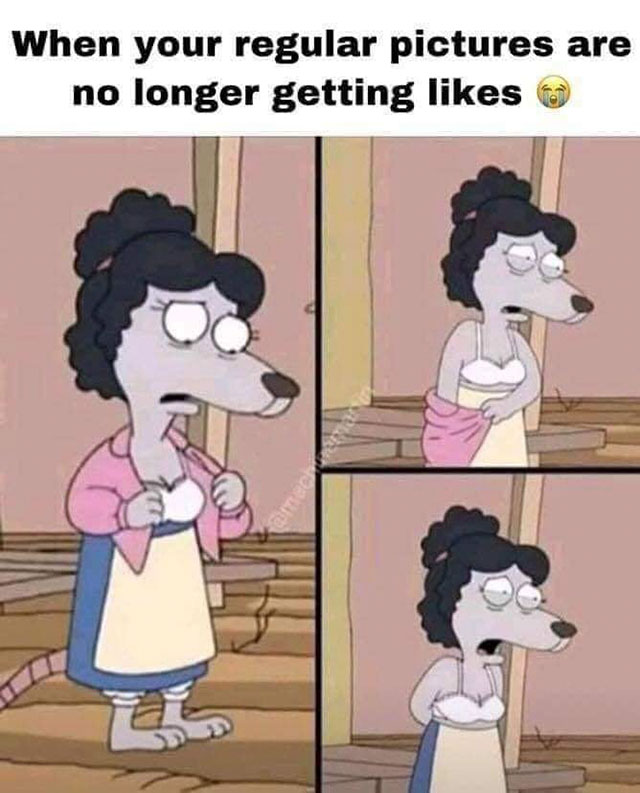 funny memes and funny pictures