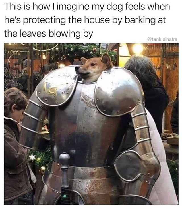 funny memes and funny pictures