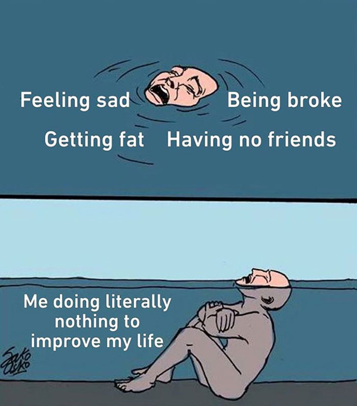 funny memes and funny pictures