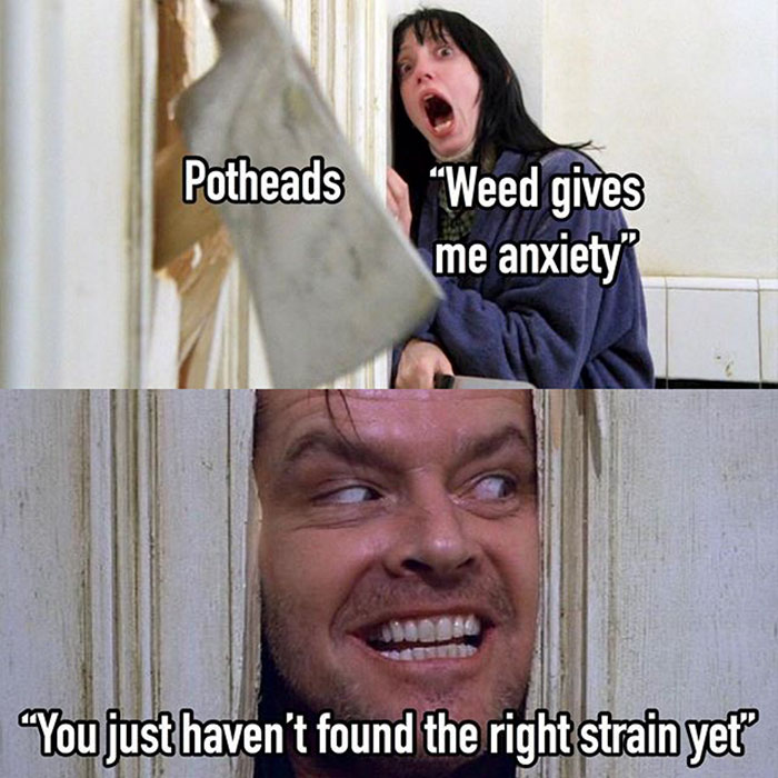 funny memes and funny pictures