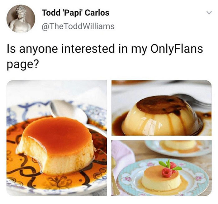 funny memes and funny pictures