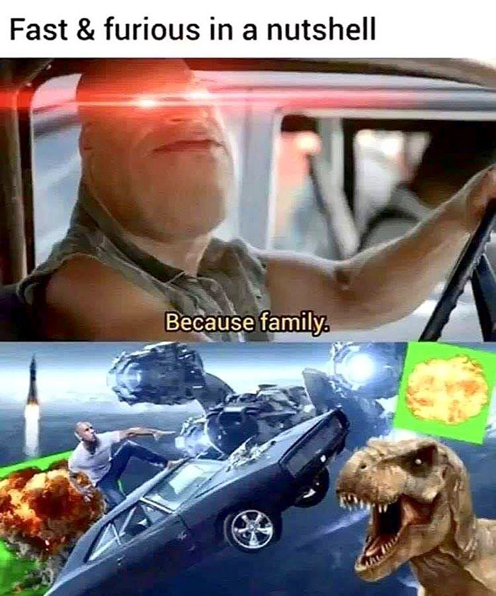 funny memes and funny pictures
