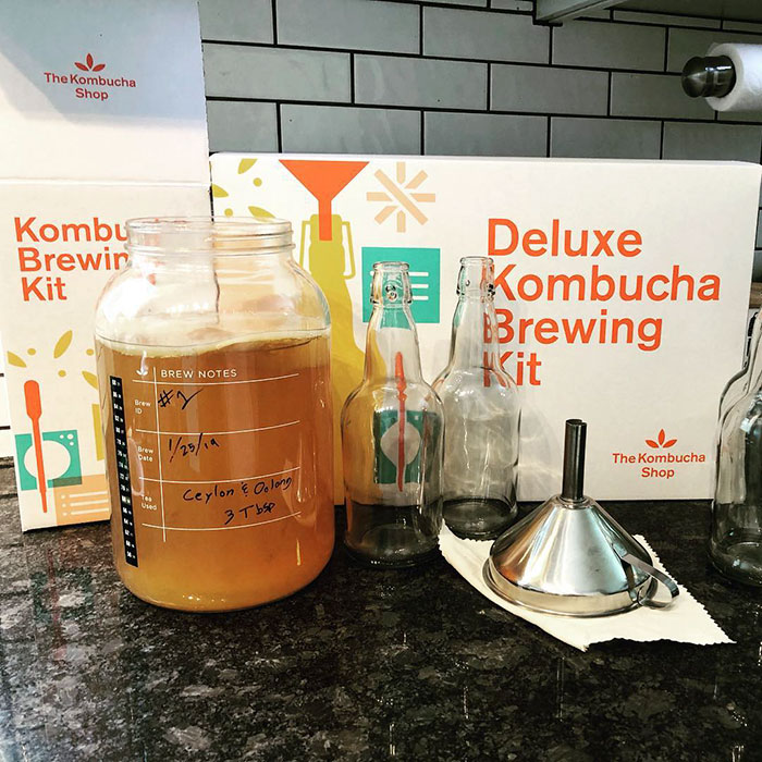 kombucha making kit