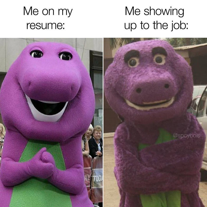 funny memes and funny pictures