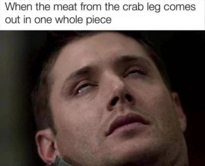 funny memes and funny pictures