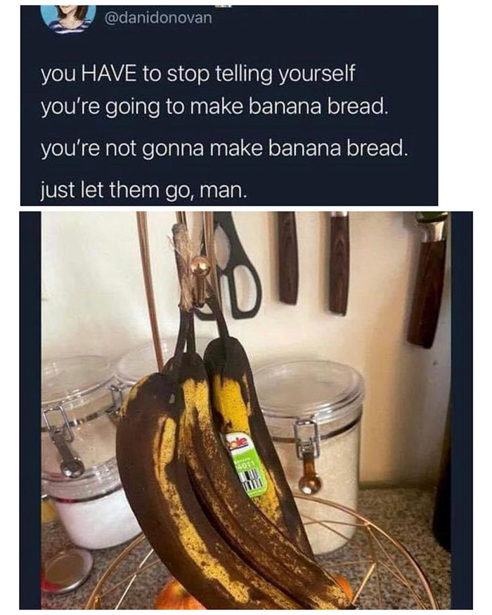 funny memes and funny pictures