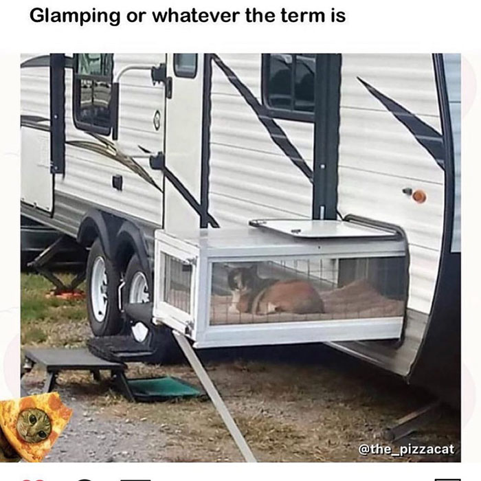 funny memes and funny pictures