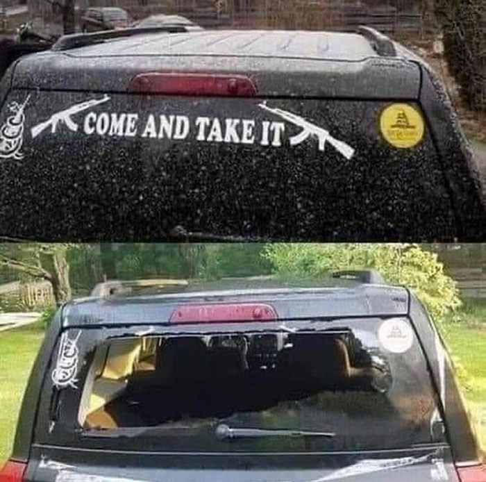 funny memes and funny pictures