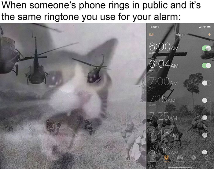 funny memes and funny pictures