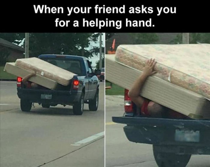 funny memes and funny pictures
