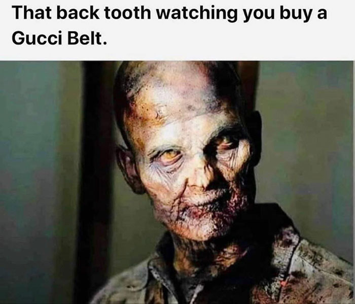 funny memes and funny pictures