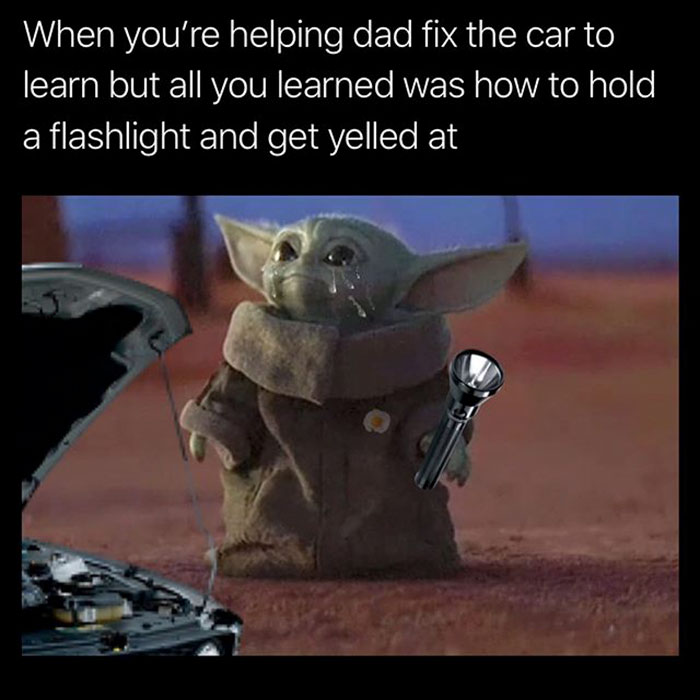 funny memes and funny pictures