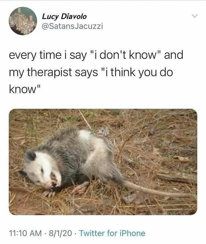 funny memes and funny pictures