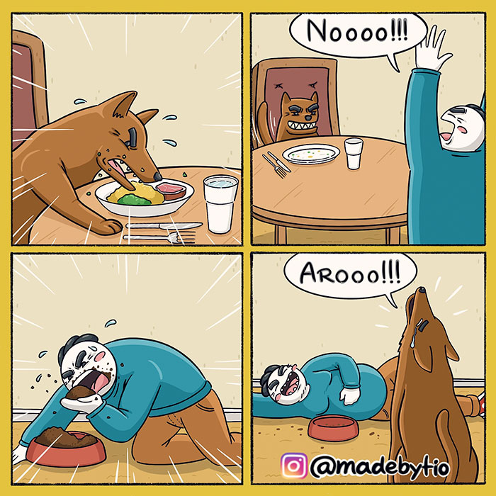 funny memes and funny pictures