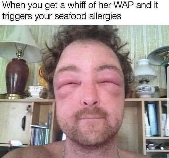 funny memes and funny pictures