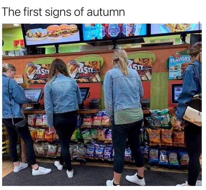 funny memes and funny pictures