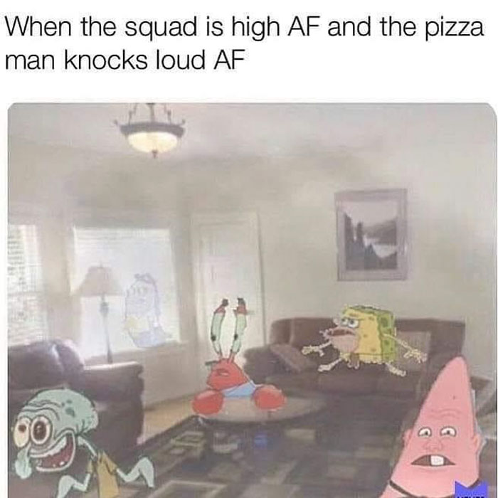 funny memes and funny pictures