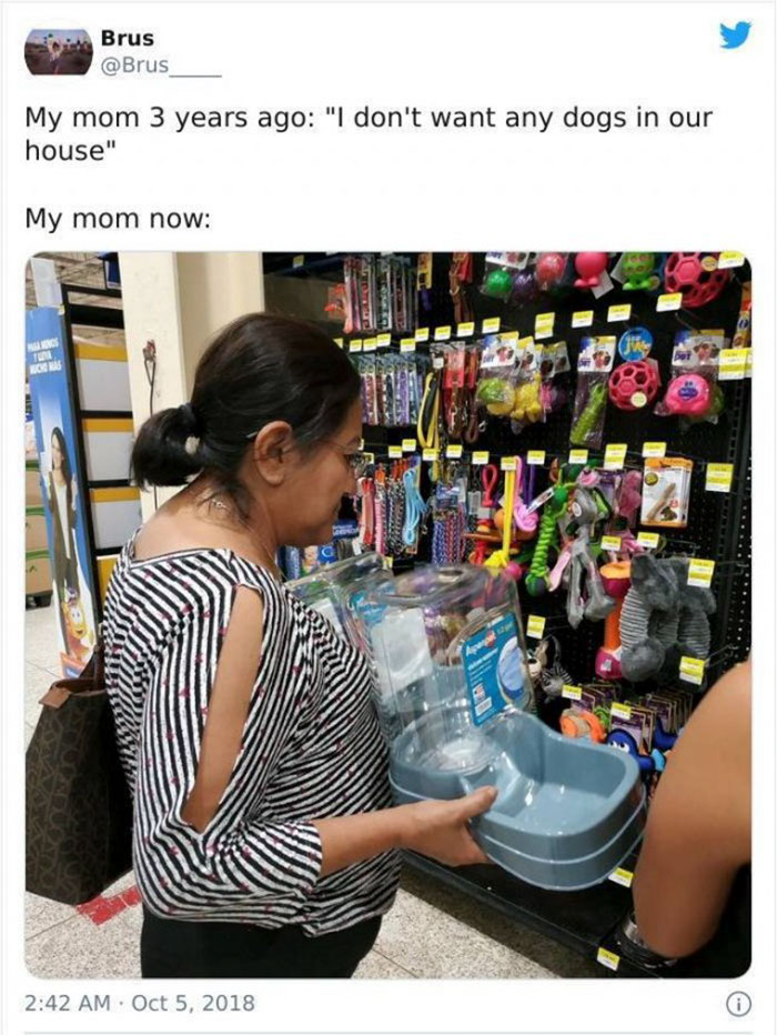 mom who didnt want a damn dog