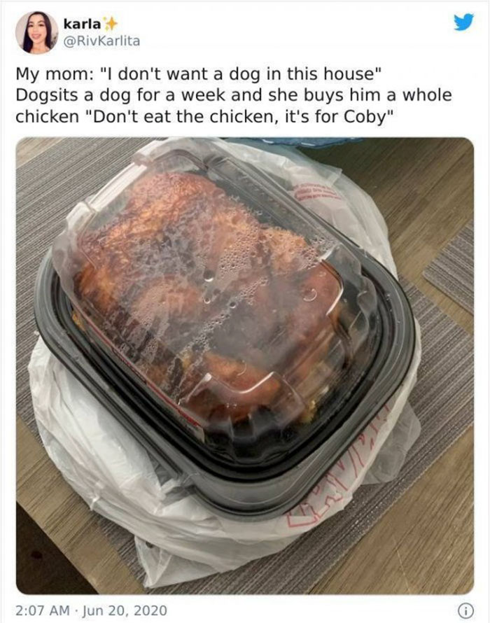 mom who didnt want a damn dog