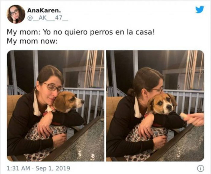 mom who didnt want a damn dog