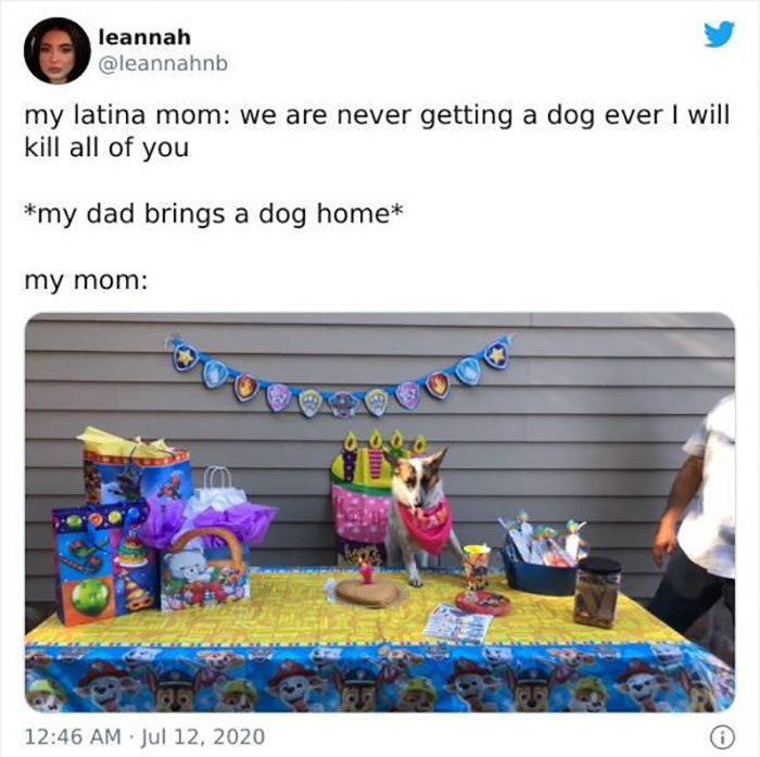 mom who didnt want a damn dog
