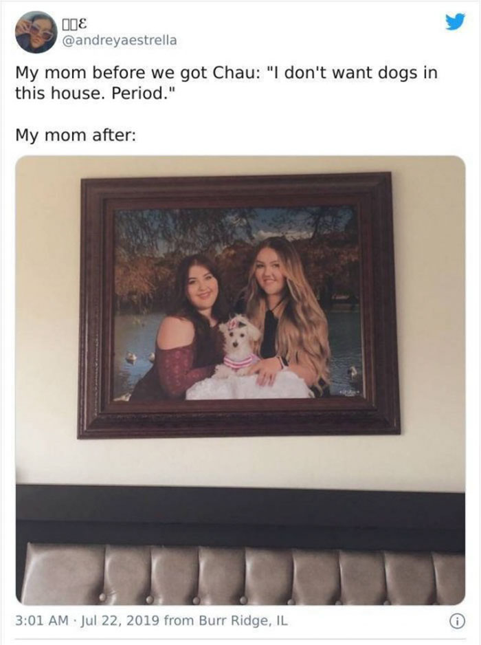 mom who didnt want a damn dog