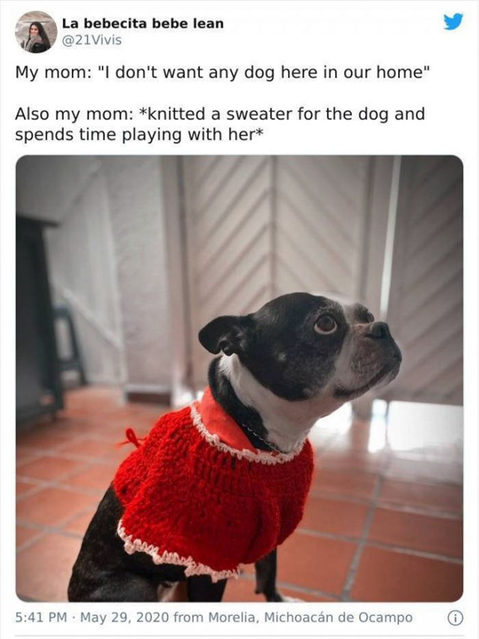 mom who didnt want a damn dog