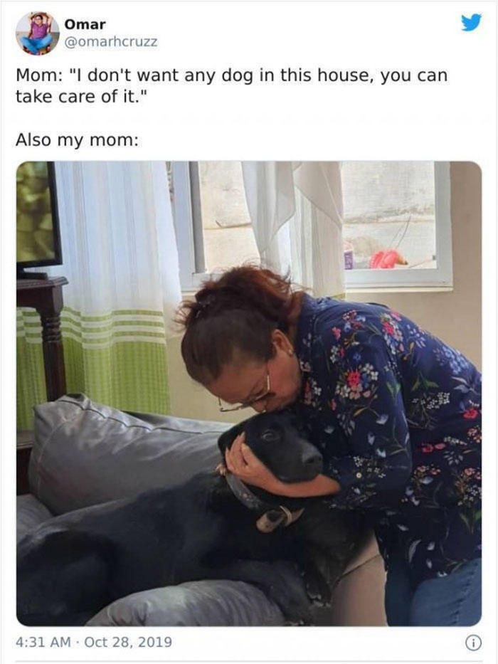 mom who didnt want a damn dog